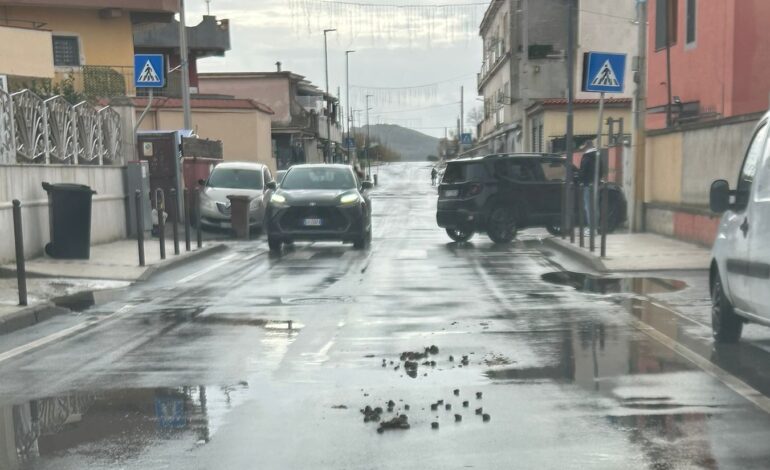 Licola Mare, strade invase da escrementi di cavallo