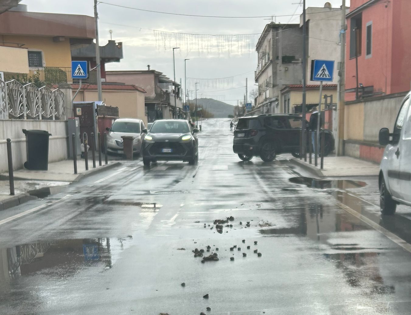 Licola Mare, strade invase da escrementi di cavallo