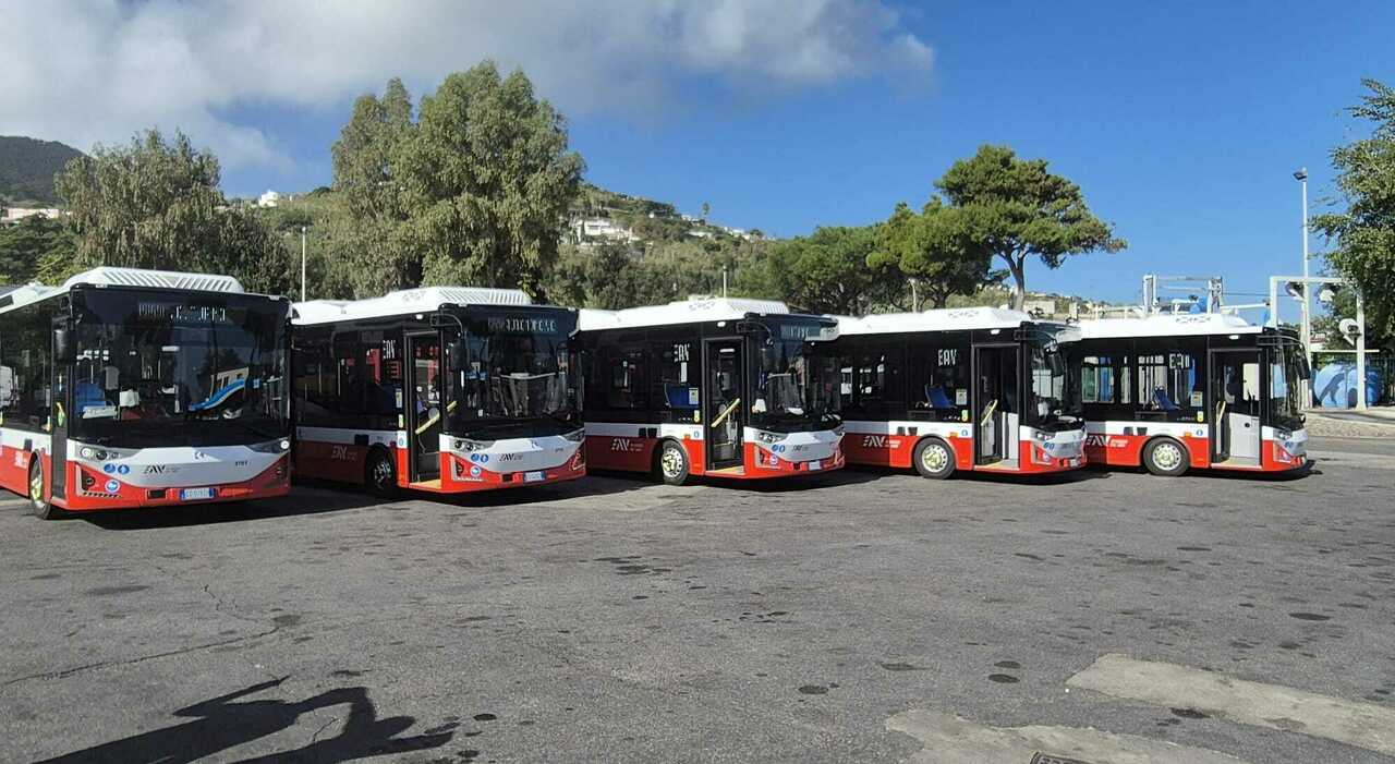 Agitazione Eav Bus, la denuncia degli autisti “Blocco cambio turni e malattie arma di ricatto contro di noi”