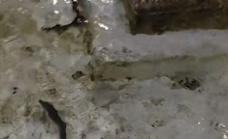 POZZUOLI/ I capitoni gettati anche nella fontana in Piazza della Repubblica