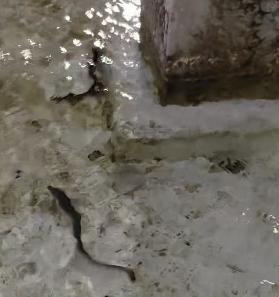 POZZUOLI/ I capitoni gettati anche nella fontana in Piazza della Repubblica