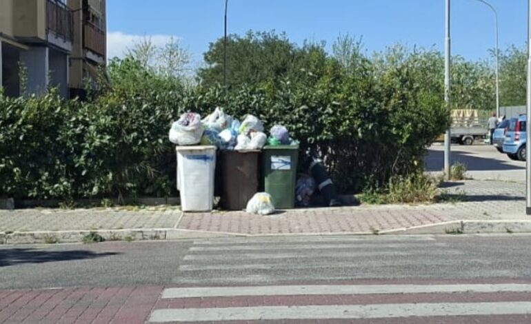 POZZUOLI/ Rifiuti, dal sindaco “encomio” a De Vizia & Company dopo le accuse e il bando annullato