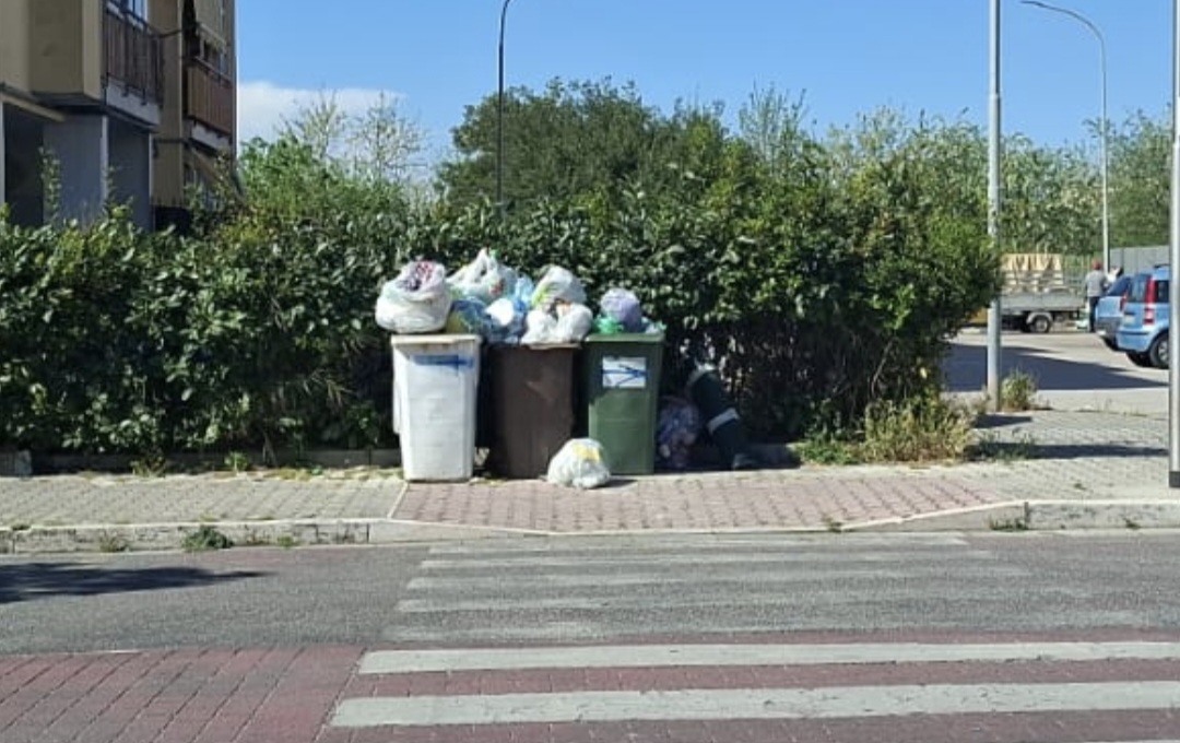 POZZUOLI/ Rifiuti, dal sindaco “encomio” a De Vizia & Company dopo le accuse e il bando annullato