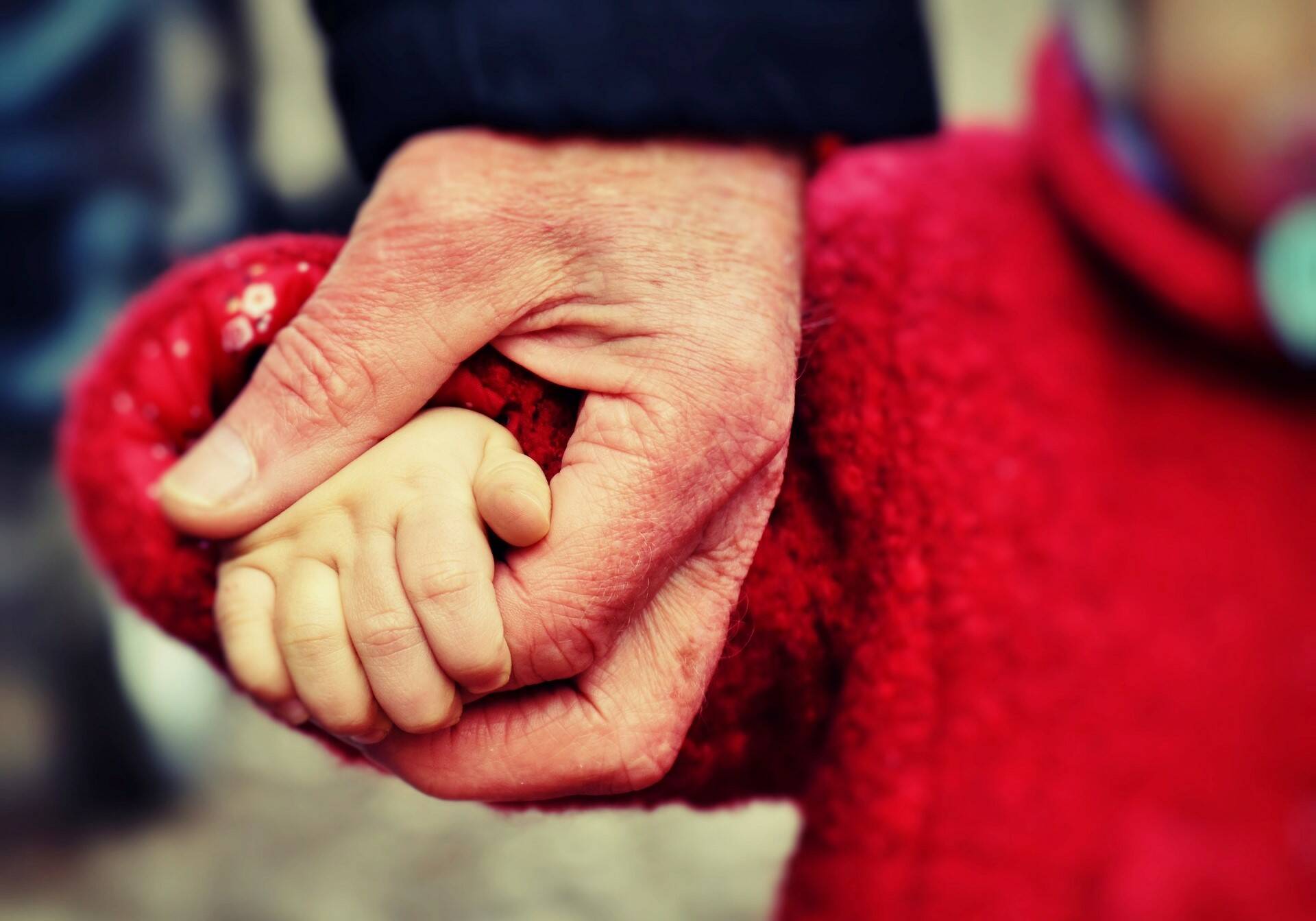 45584: supporto alimentare a famiglie fragili con il numero solidale di Fondazione Progetto Arca