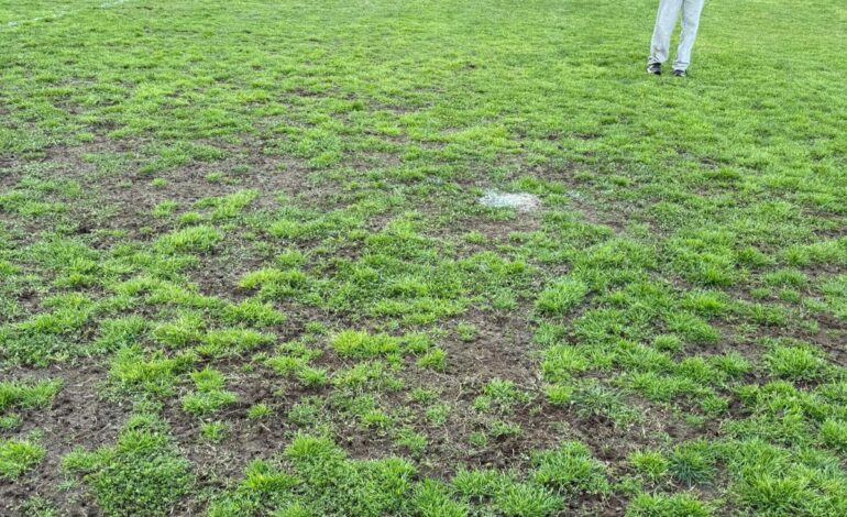 Da campo da calcio a campo per patate: scempio allo stadio di Pozzuoli