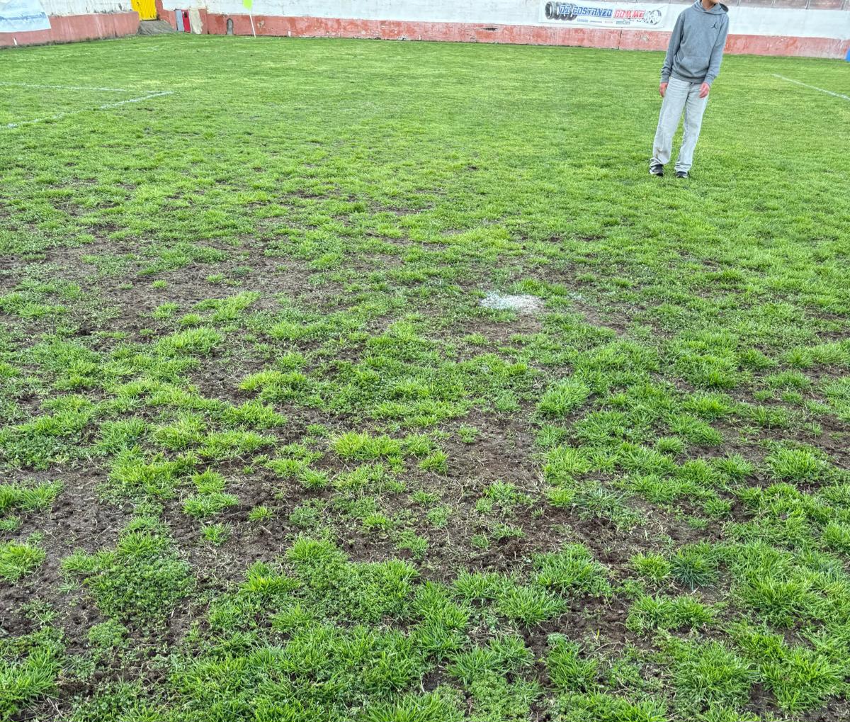 Da campo da calcio a campo per patate: scempio allo stadio di Pozzuoli