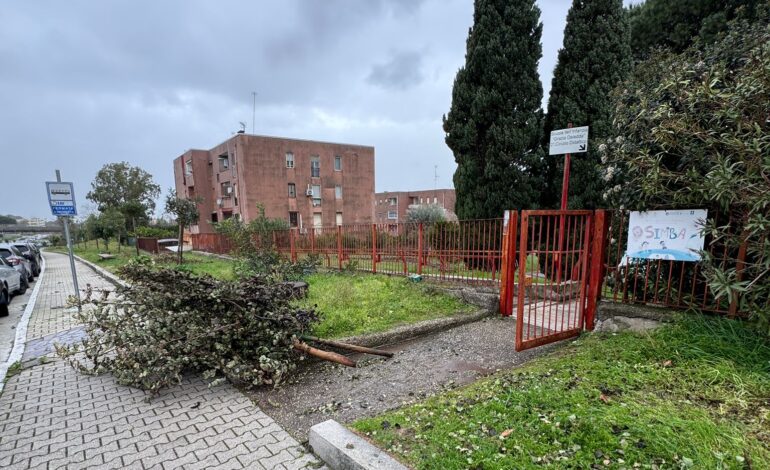 A Pozzuoli volano alberi davanti all’asilo nido comunale