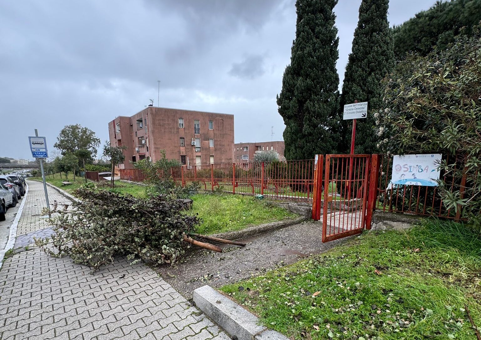 A Pozzuoli volano alberi davanti all’asilo nido comunale