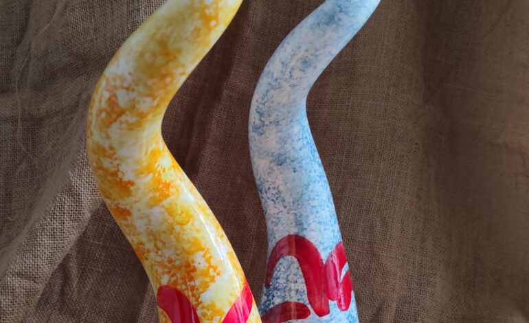 Dal lavoro dei ragazzi dell’Ipm di Nisida  il premio per il festival del corto Nafafe’