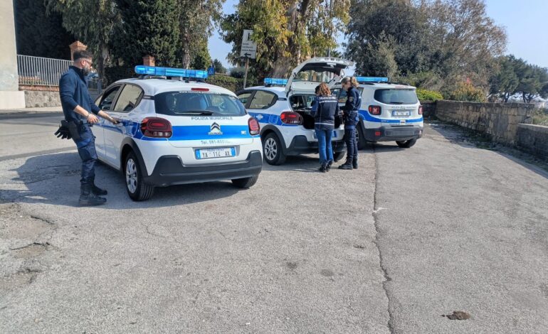 Cagnolino richiuso in auto per ore salvato dalla Polizia Municipale di Pozzuoli: denunciato il proprietario