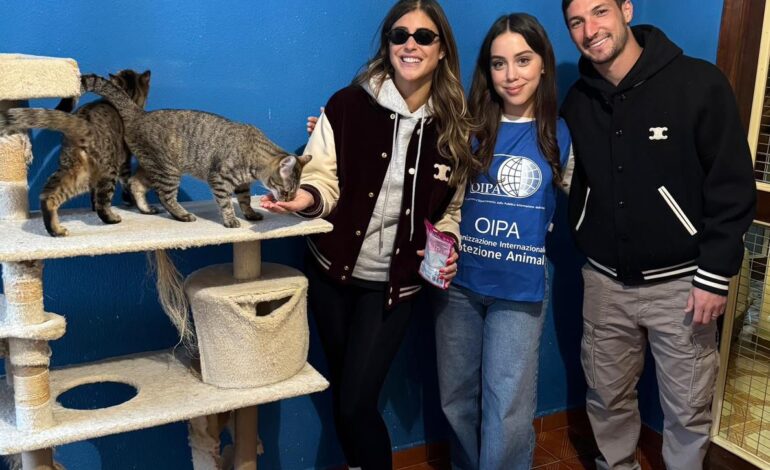 Il grande cuore di Politano: insieme alla moglie adotta due gattini salvati dalla strada