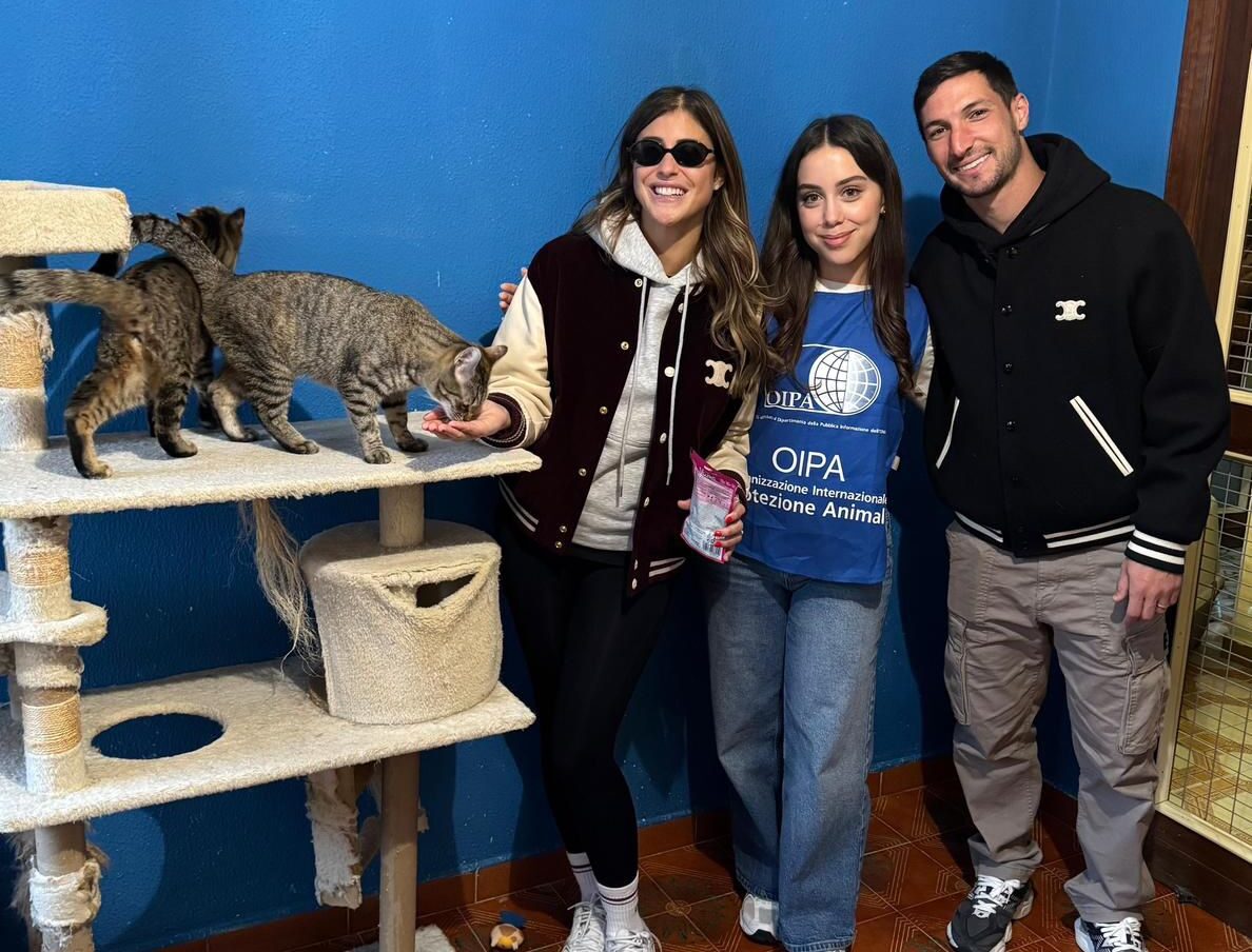 Il grande cuore di Politano: insieme alla moglie adotta due gattini salvati dalla strada