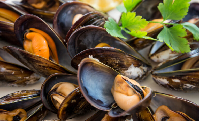 Epatite A, sospeso il consumo dei frutti di mare crudi nel comune di Quarto