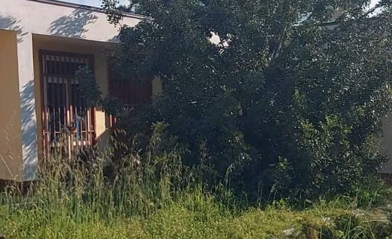 Degrado a Pozzuoli: anche la “Montessori” tra le scuole dimenticate «Bambini costretti a stare chiusi nelle aule a causa della sporcizia» – LE FOTO