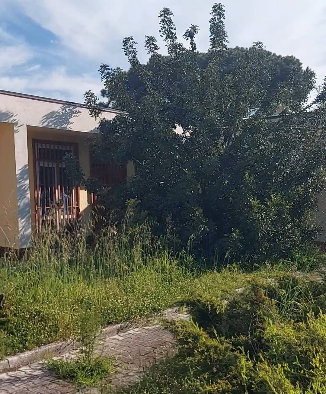 Degrado a Pozzuoli: anche la “Montessori” tra le scuole dimenticate «Bambini costretti a stare chiusi nelle aule a causa della sporcizia» – LE FOTO