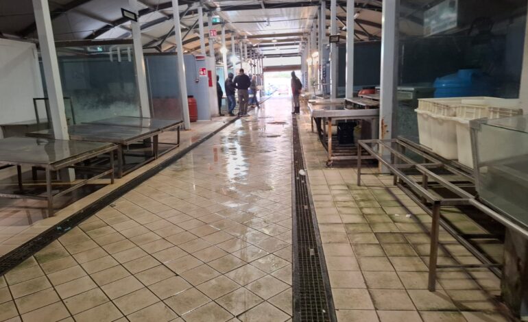 POZZUOLI/ Allarme epatite: tre consiglieri lanciano mozione per sostenere filiera ittica e ristorazione