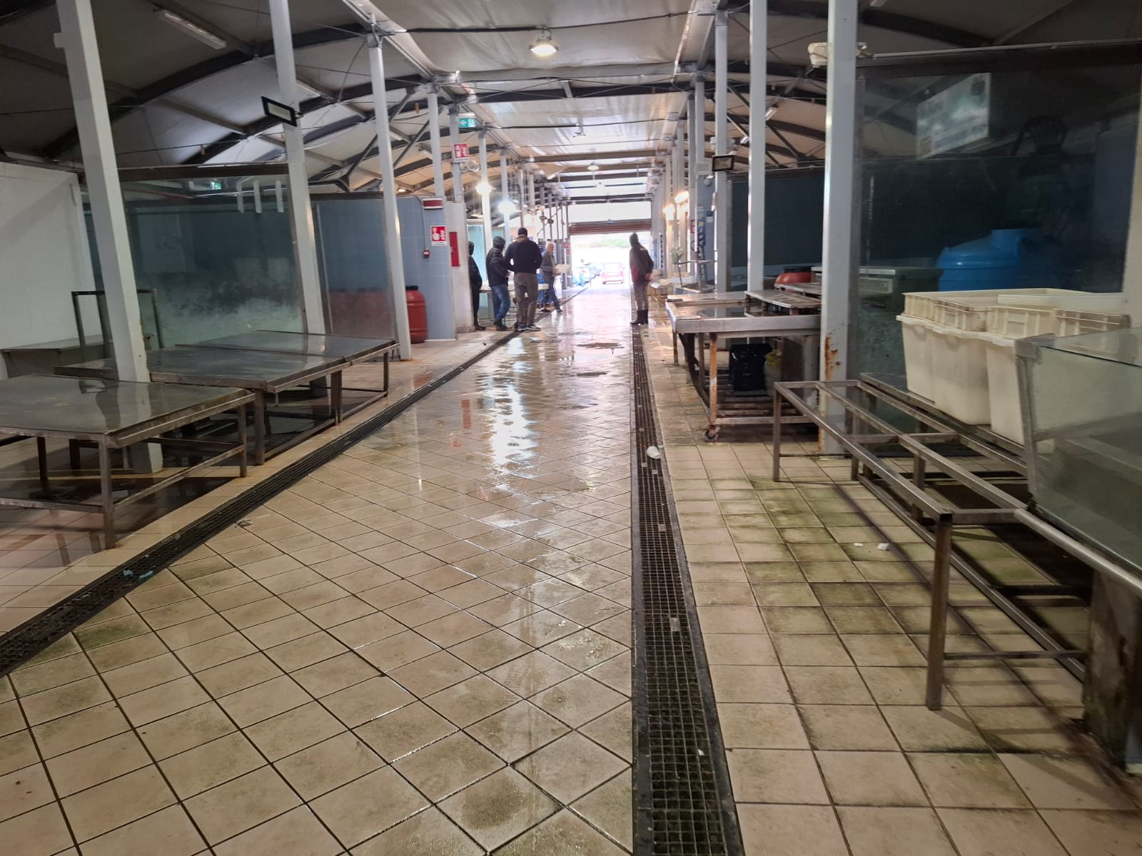 POZZUOLI/ Allarme epatite: tre consiglieri lanciano mozione per sostenere filiera ittica e ristorazione