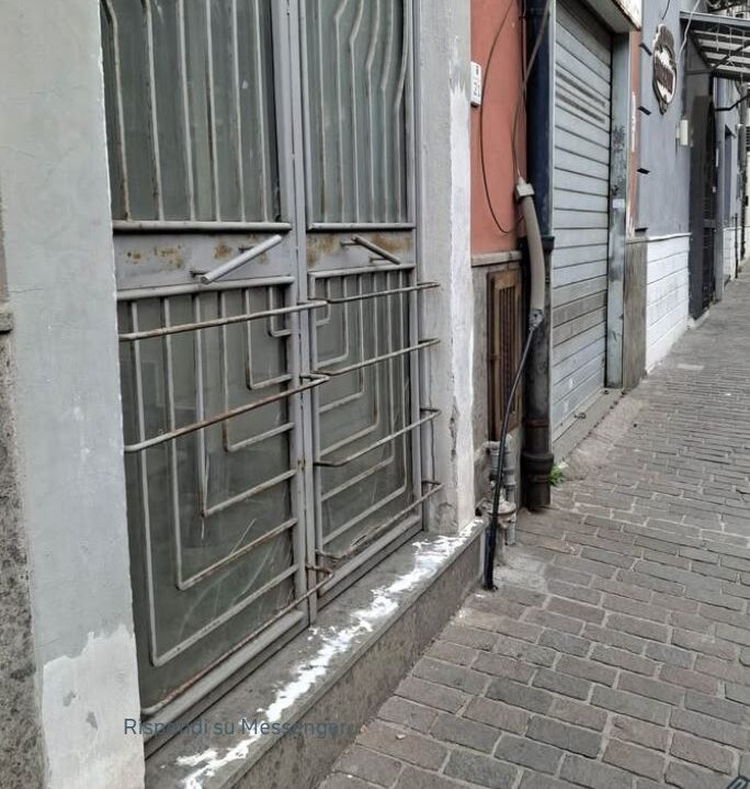 L’ALLARME/ «Veleno per animali davanti a un portone nel centro storico di Pozzuoli»