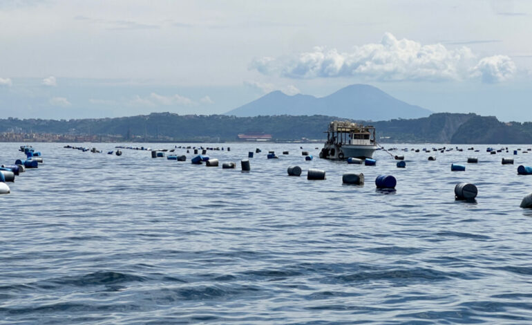 BACOLI/ Riapre l’allevamento di cozze a Cento Camerelle
