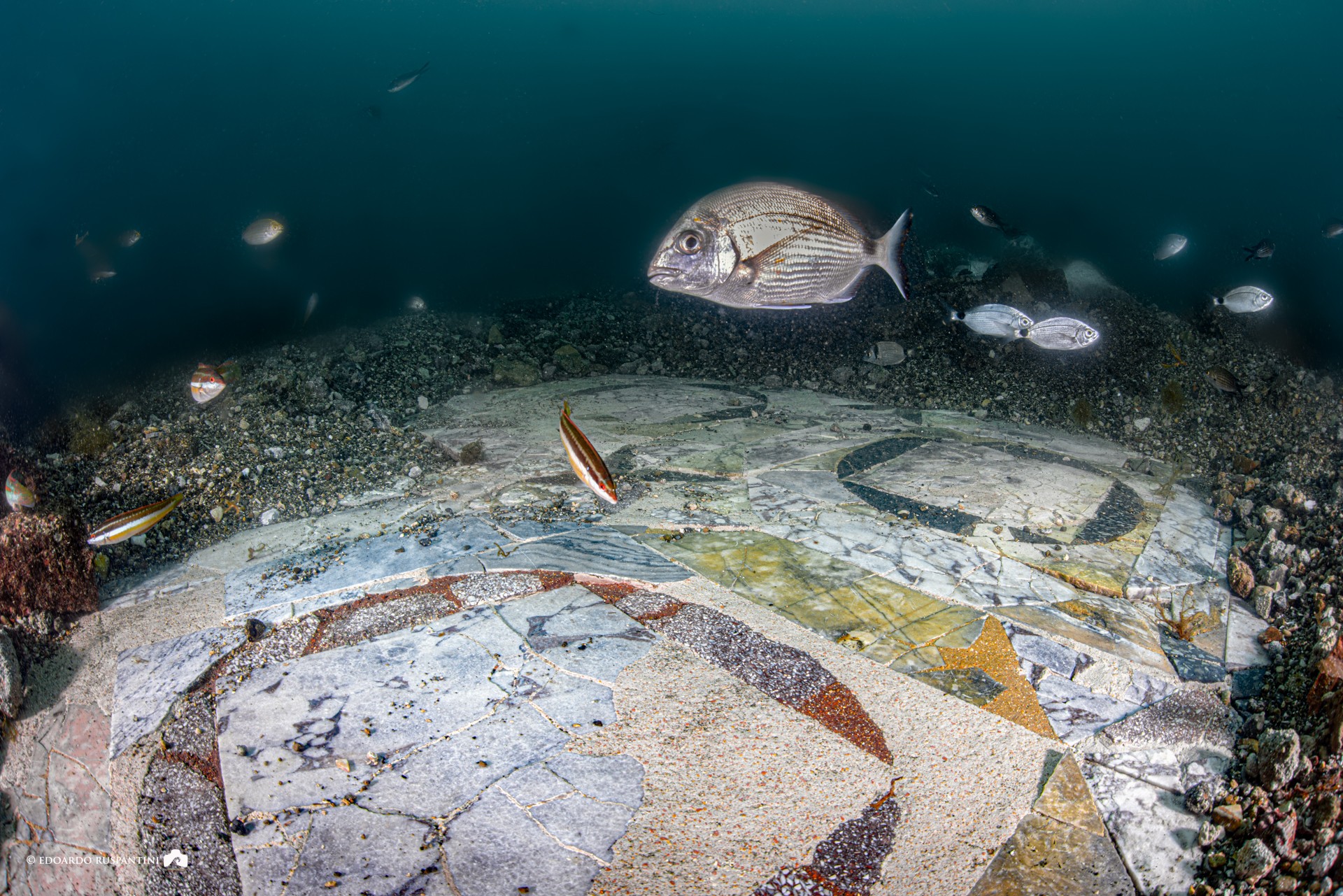 Al Castello di Baia il convegno nazionale di Archeologia Subacquea