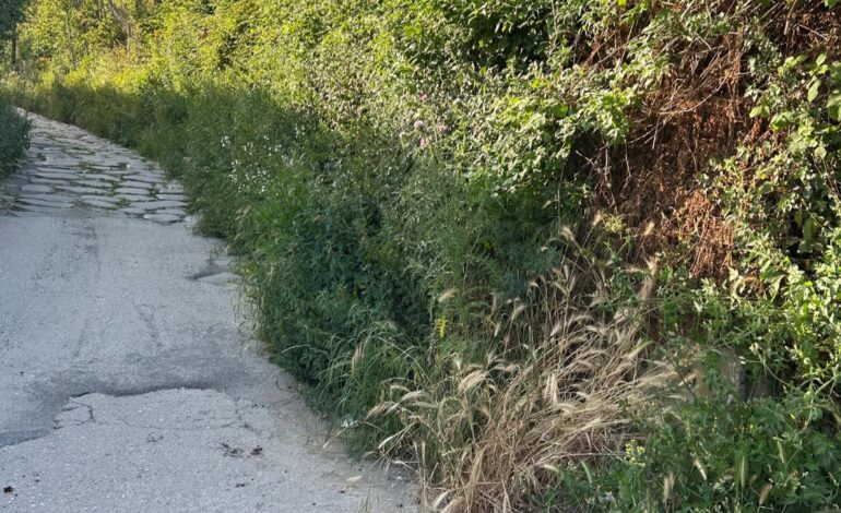 POZZUOLI/ «Sito storico abbandonato e turisti spaesati»