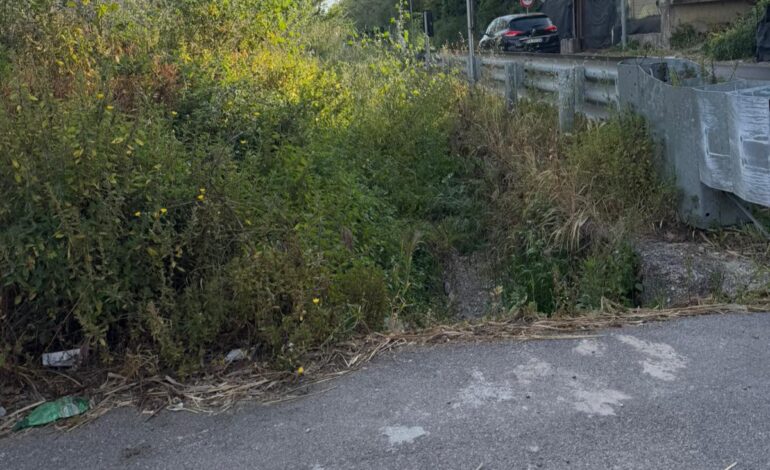 POZZUOLI/ «Sterpaglie pericolese in via Cuma Licola»