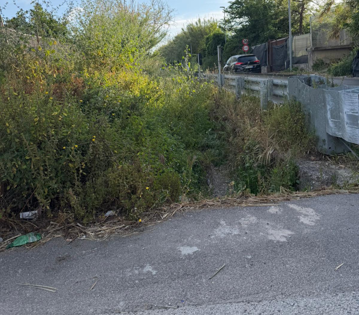 POZZUOLI/ «Sterpaglie pericolese in via Cuma Licola»