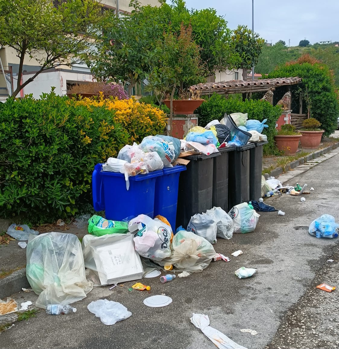 POZZUOLI/ «A Toiano rifiuti non raccolti da 3 giorni»