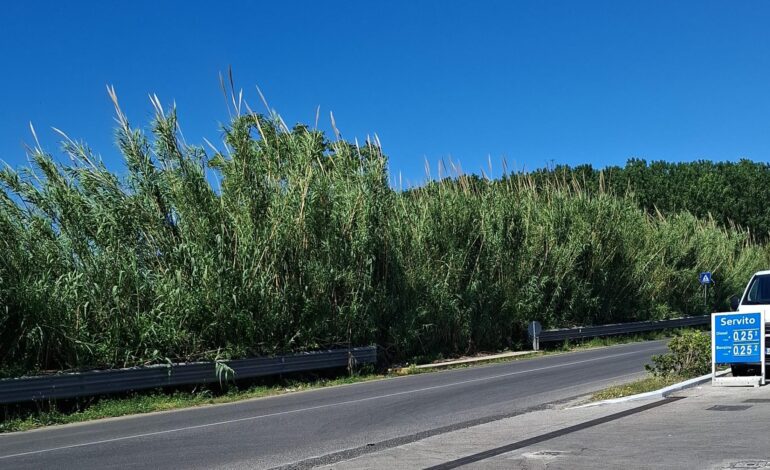 POZZUOLI/ « A Licola mancano anche le cose più semplici»