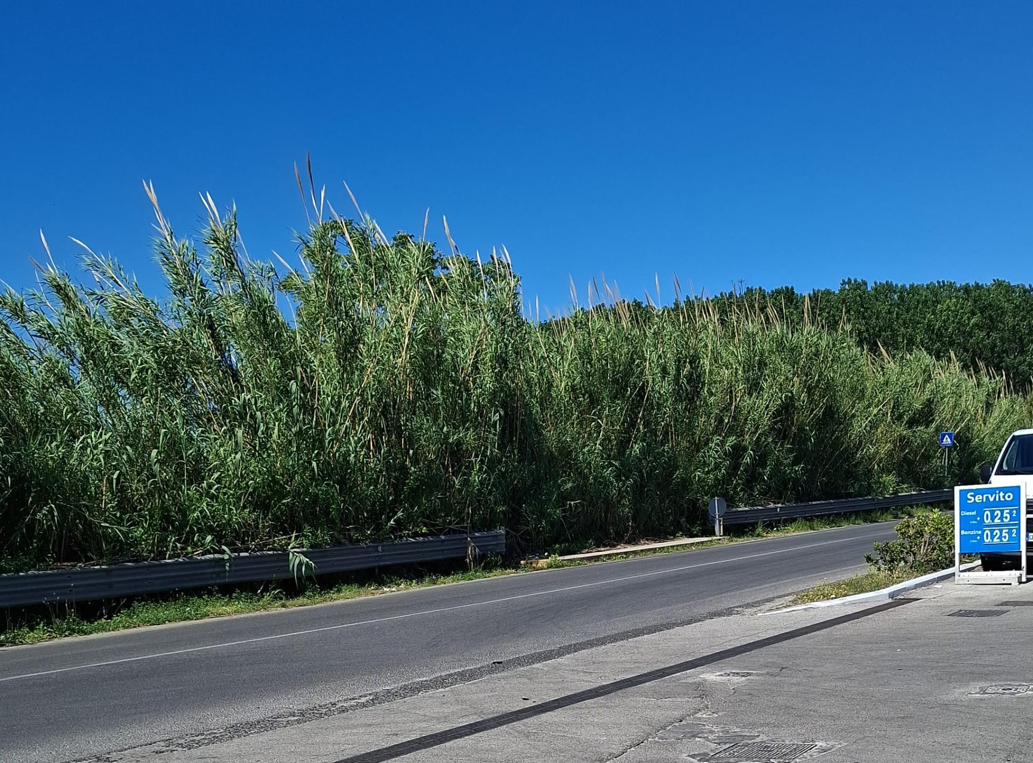 POZZUOLI/ « A Licola mancano anche le cose più semplici»