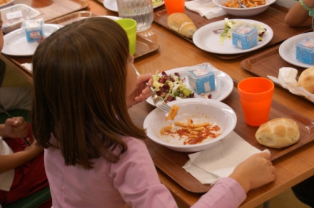 BACOLI/ Mosche nelle polpette a scuola: sospesa la mensa scolastica