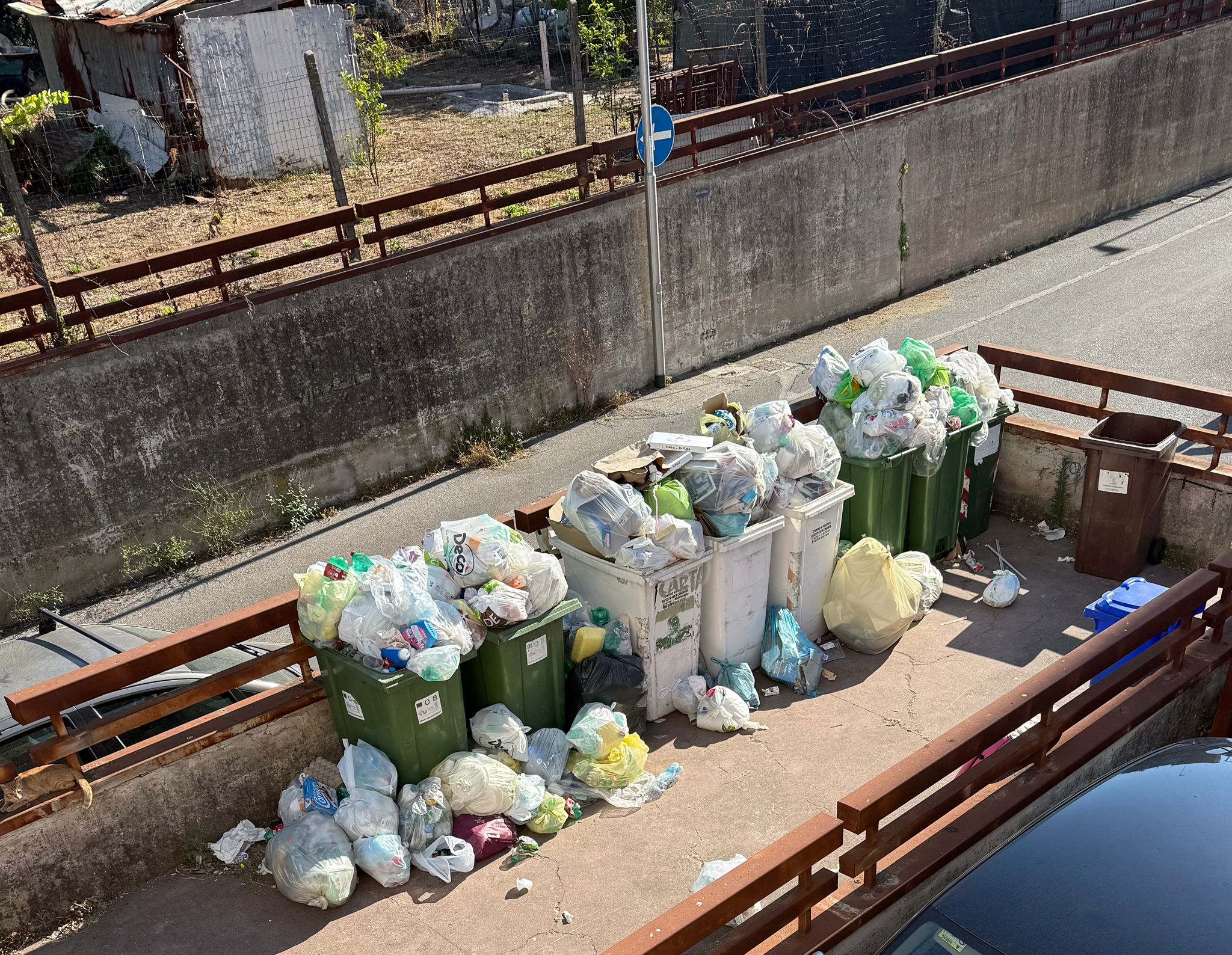 Rifiuti non raccolti da una settimana: scempio a Pozzuoli