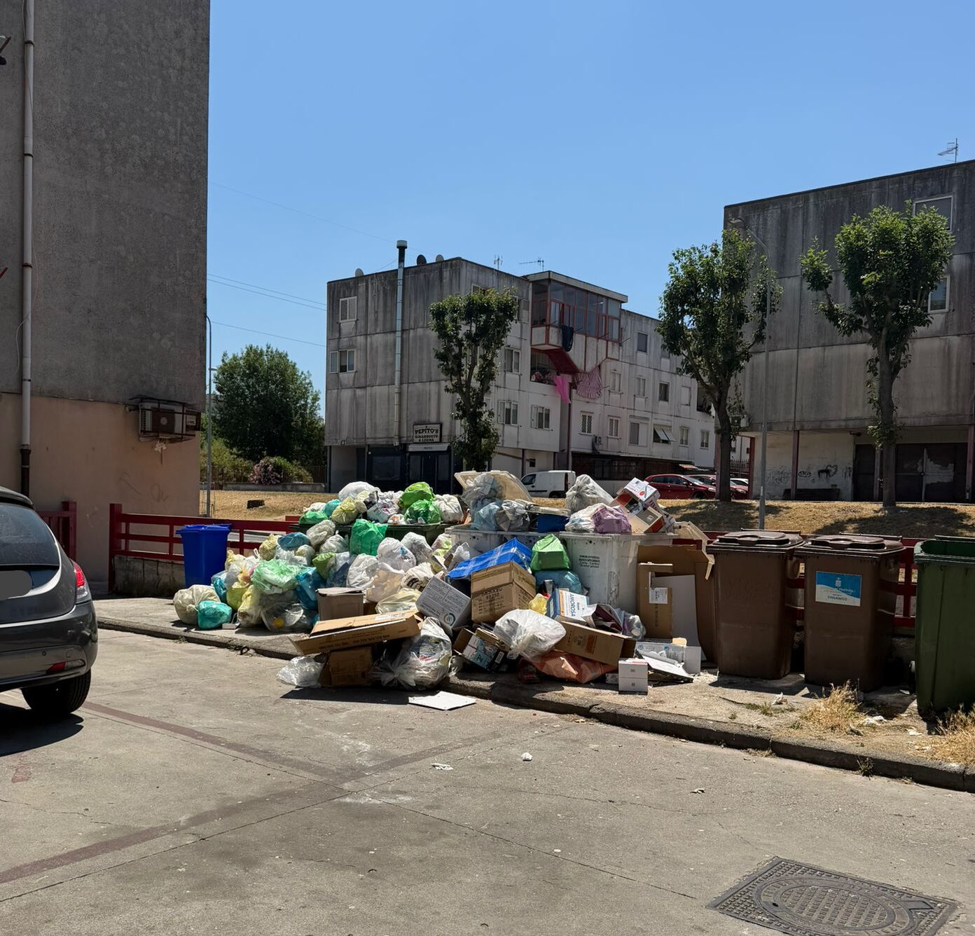 POZZUOLI/ SOS rifiuti da Monterusciello «Siamo pieni di topi»