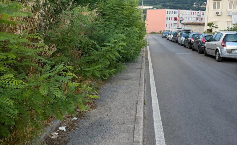 POZZUOLI/ «Erba alta sui marciapiedi, non ci passa nemmeno un passeggino»