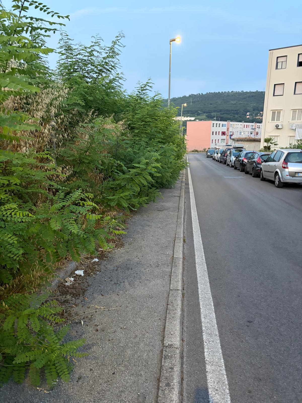 POZZUOLI/ «Erba alta sui marciapiedi, non ci passa nemmeno un passeggino»