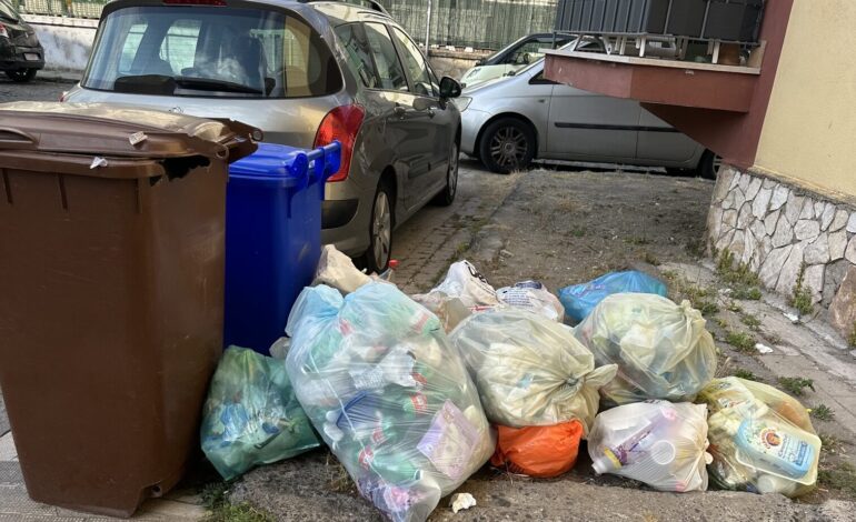«Rifiuti non raccolti a Pozzuoli: con il caldo situazione inaccettabile»