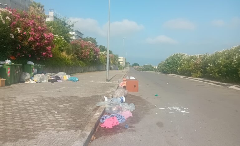 «Rifiuti e inciviltà, degrado a Monterusciello»
