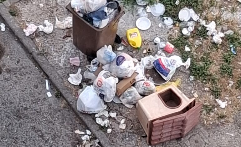 POZZUOLI/ «Rifiuti a terra da dieci giorni a Toiano»