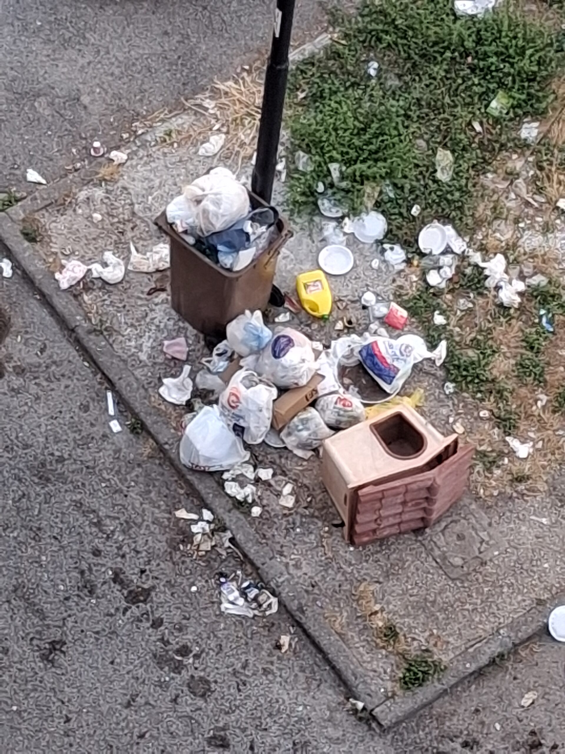 POZZUOLI/ «Rifiuti a terra da dieci giorni a Toiano»