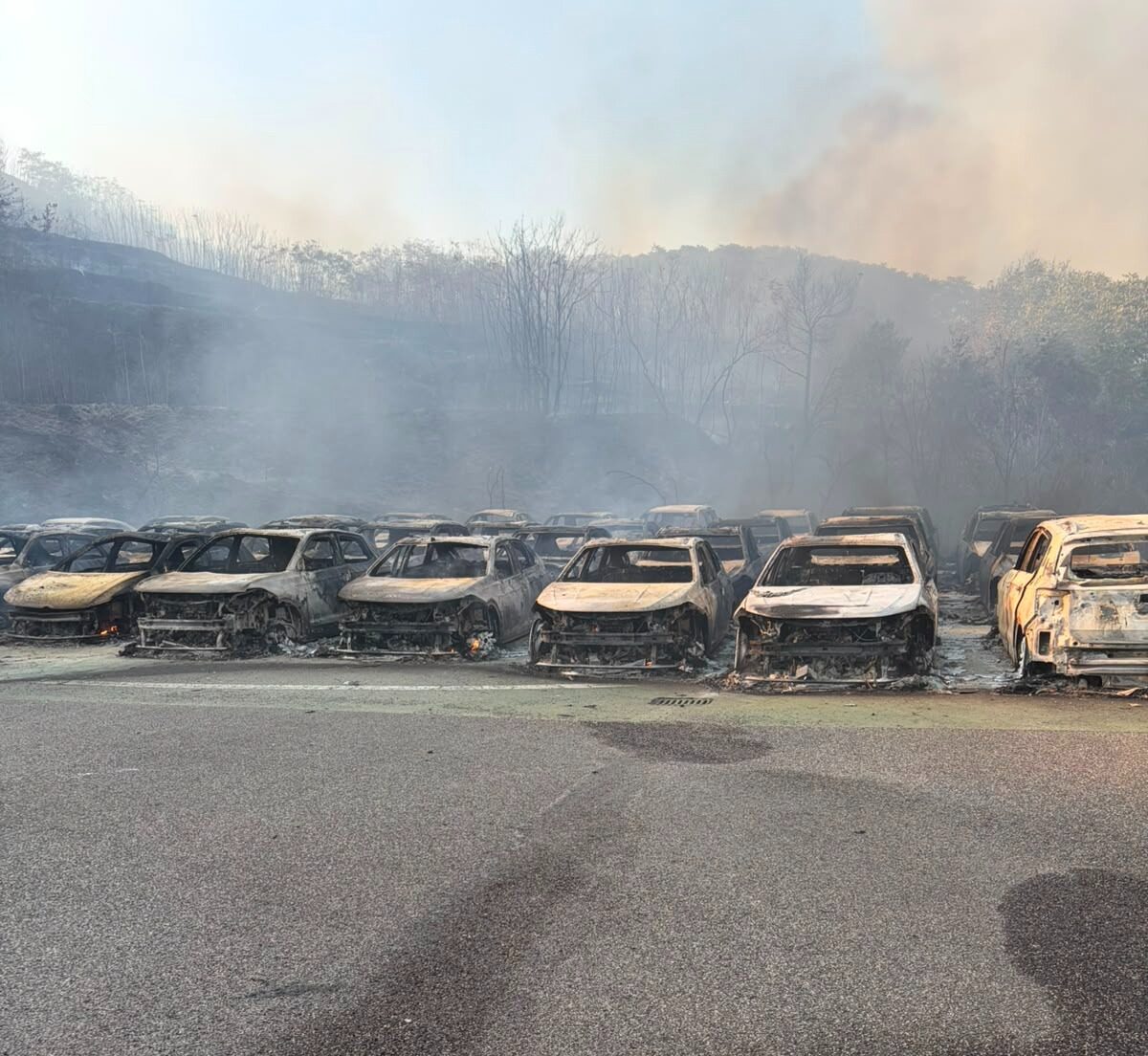 Concessionaria distrutta dalle fiamme a Pozzuoli «Continueremo a investire in questa terra straordinaria»