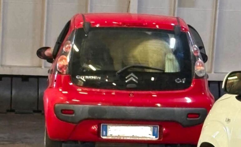 Pony chiuso in auto sul traghetto in partenza da Pozzuoli