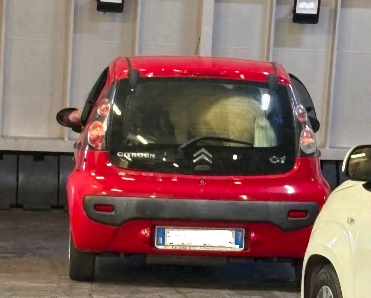 Pony chiuso in auto sul traghetto in partenza da Pozzuoli