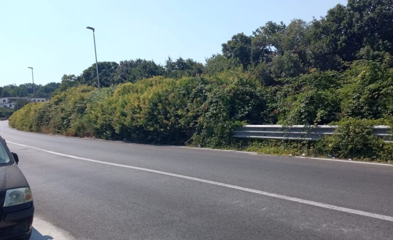 POZZUOLI/ «Tratto di strada pericoloso, l’ho segnalato al comune ma non hanno fatto nulla»