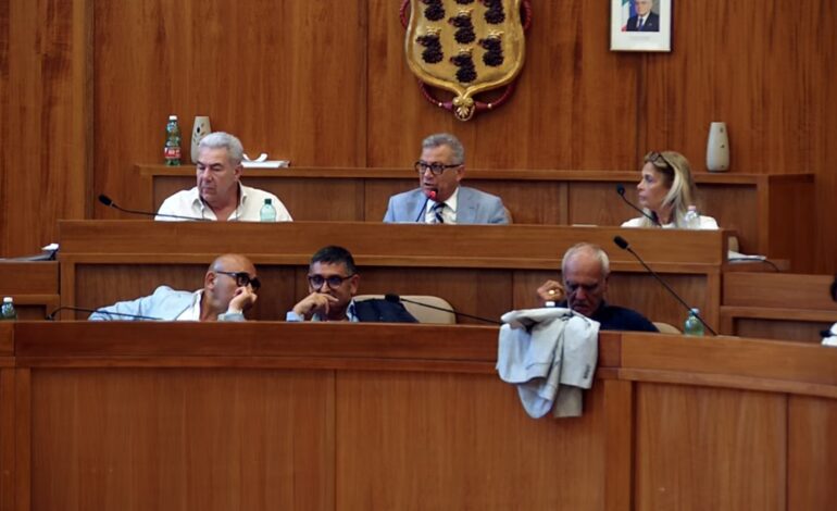 «Il sindaco metta fine a questa imbarazzante agonia politica»