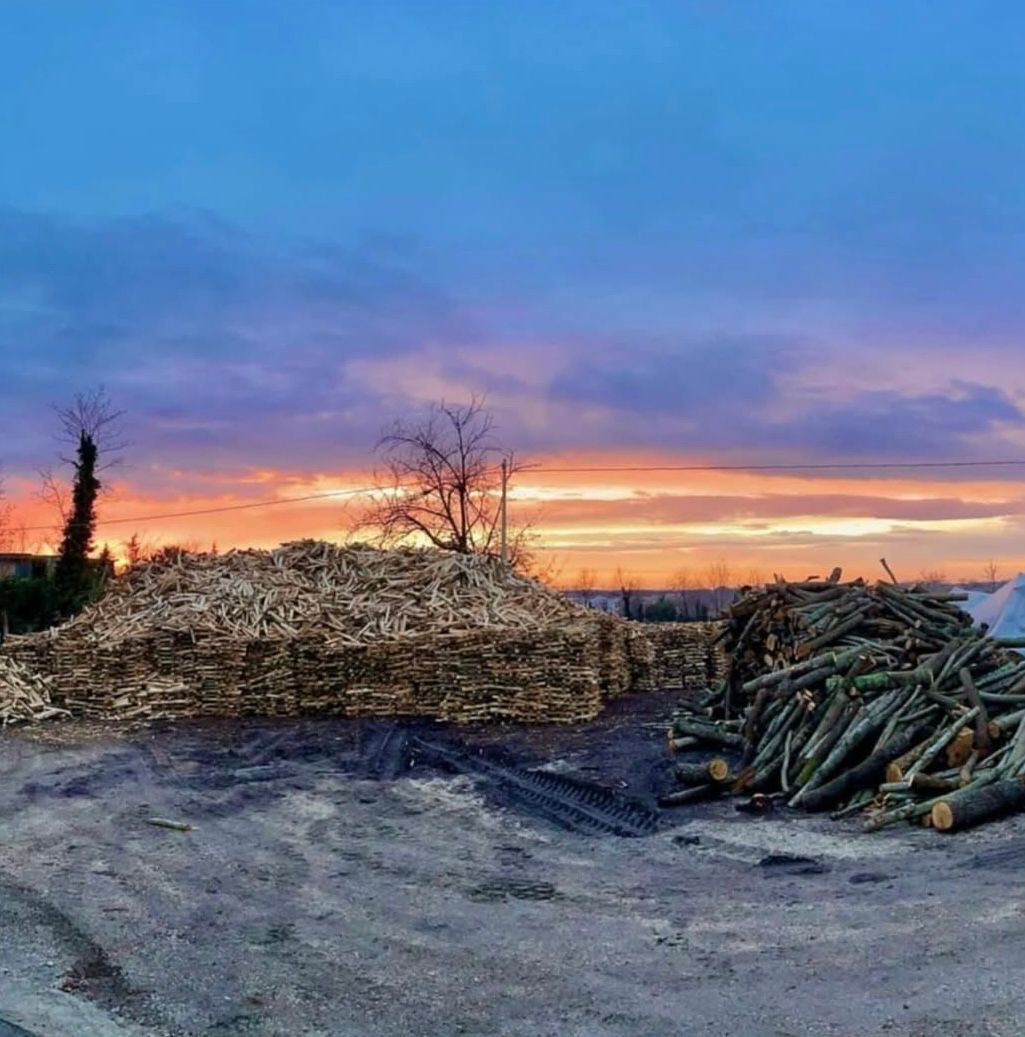 Legna di qualità per pizze d’eccezione: Wood Point di Pozzuoli al “Coca Cola Pizza Village”