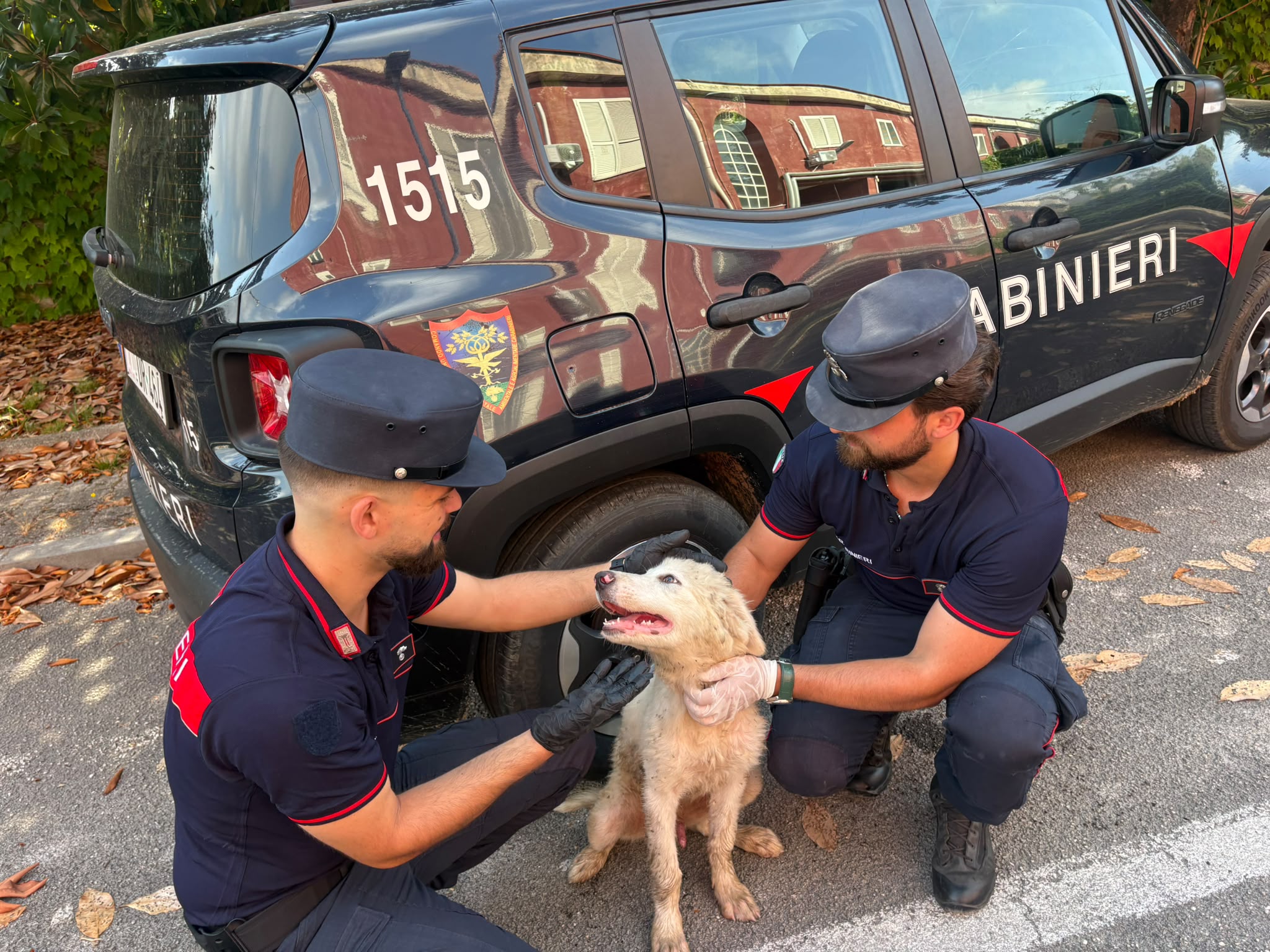BACOLI/ Abbandona un cucciolo di cane, individuato e denunciato dalla Guardia Forestale