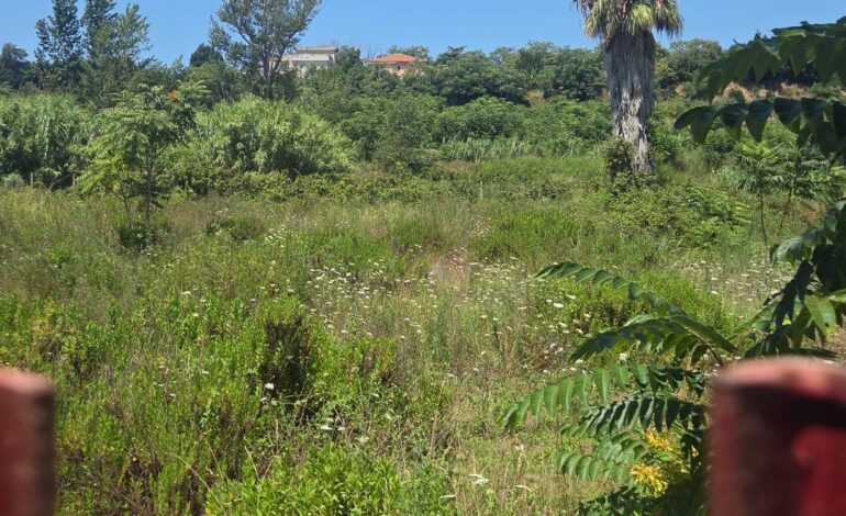 POZZUOLI/ «Quest’area di Arco Felice vecchio non si pulisce dai tempi di Figliolia»