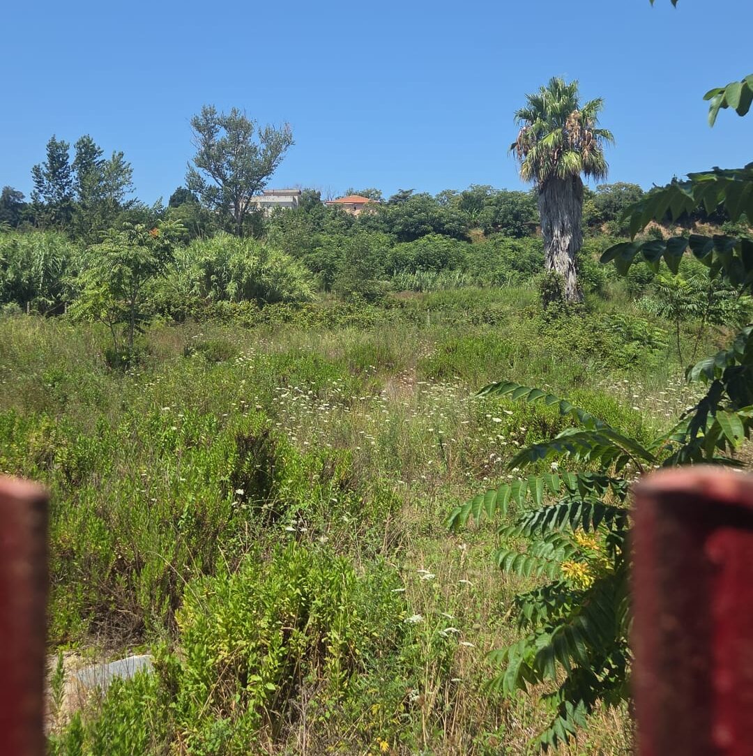 POZZUOLI/ «Quest’area di Arco Felice vecchio non si pulisce dai tempi di Figliolia»
