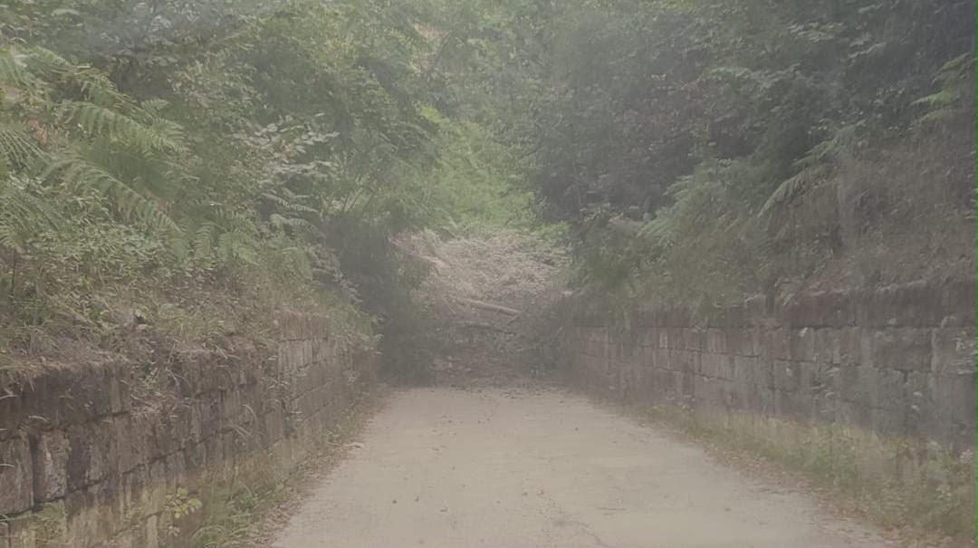 Forte scossa, smottamento a Cigliano: strada chiusa e residenti intrappolati