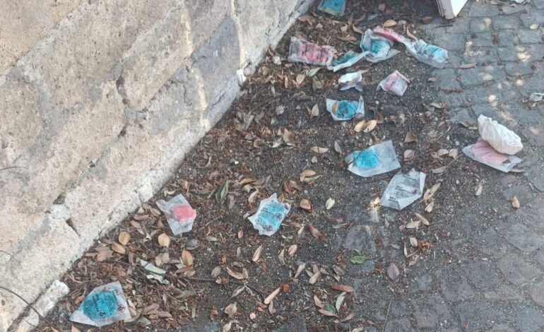 POZZUOLI/ Veleno per animali in strada, gravi due cani ad Arco Felice: appello dell’AMPA al comune «Intervenite»